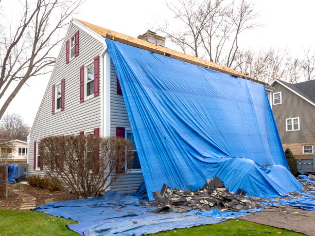 Best Same-Day Junk Removal Services  in Norristown, PA