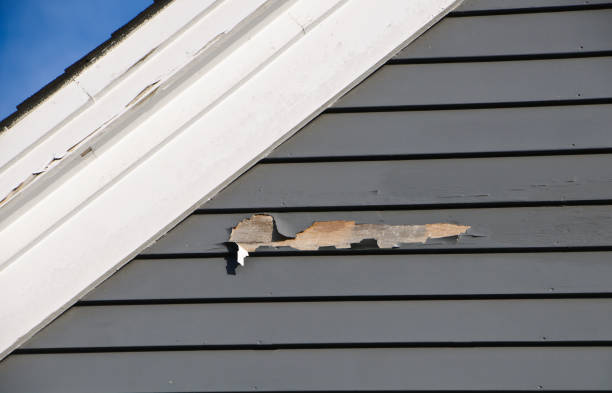 Trusted Norristown, PA Junk Removal Experts